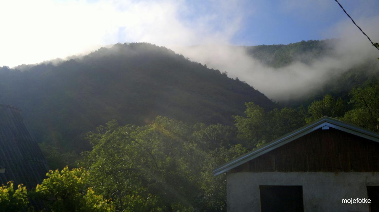 Biosphere Reserve Hostel Bogutovac Eksteriør bilde